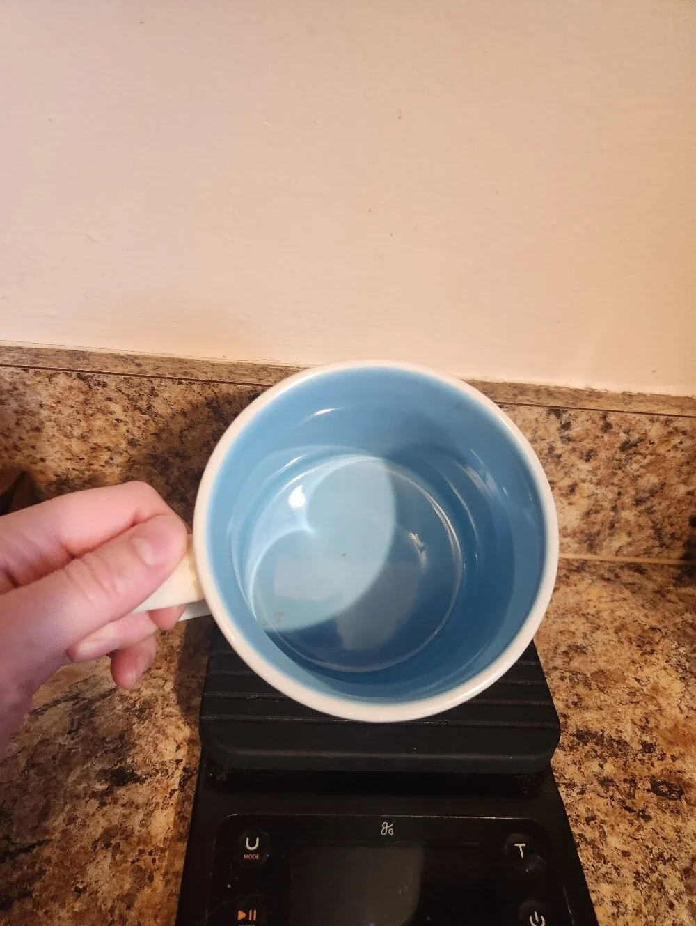 Starbucks Magic Kingdom You Are Here Mug